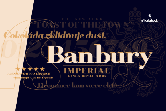 Elevate Your Brand with Banbury: A Neo Classical Display Font