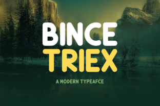 Enhance Your Brand with Bince Triex: A Versatile Display Font