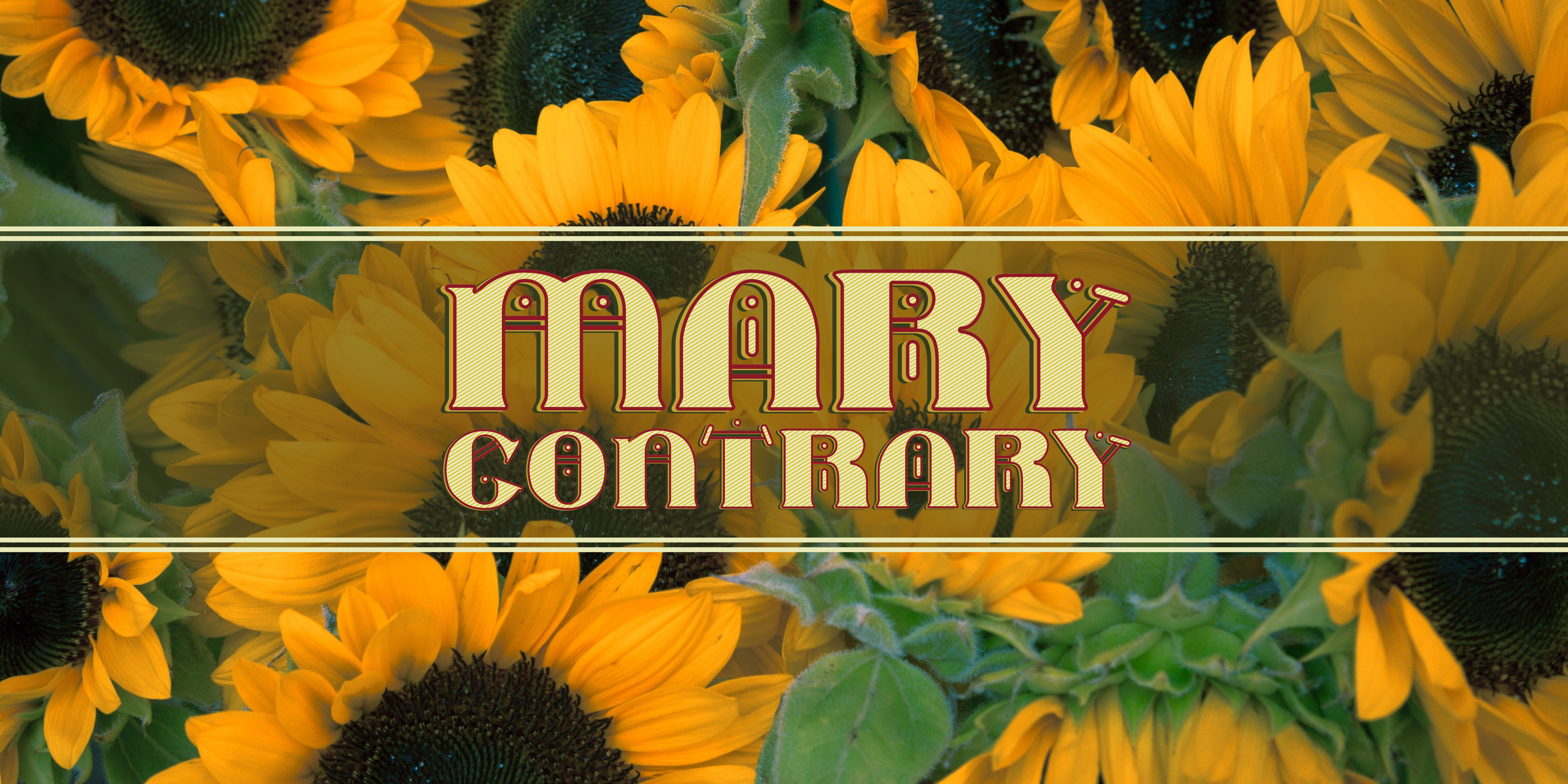 Enhance Your Campaigns with Mary Contrary Font