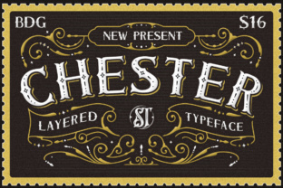 Enhance Your Web Design with Chester, a Rustic Display Font