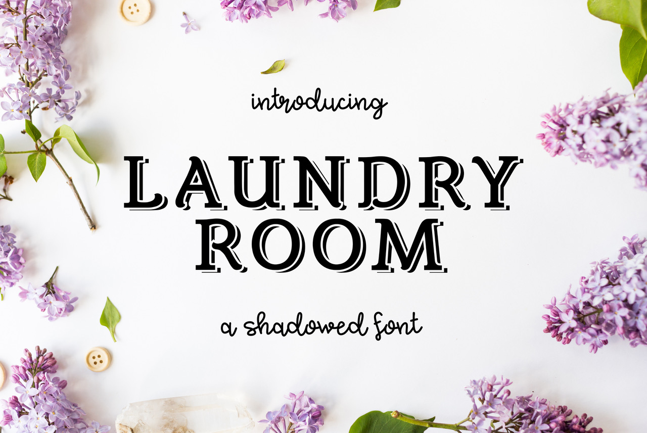 Laundry Room: A Contemporary Slab Serif Font for Editorial Design