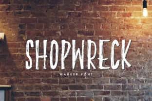 Shopwreck: A Handcrafted Font for Elegant Publishing