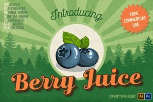 Unleash Creativity with Berry Juice: A Vintage Font for Makers